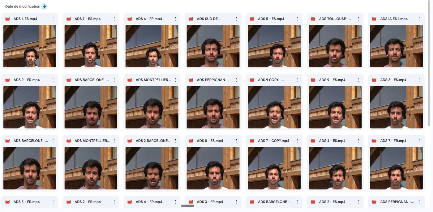 Déclinaisons publicitaires d'un même bien, adaptées à différents profils d'acheteurs.